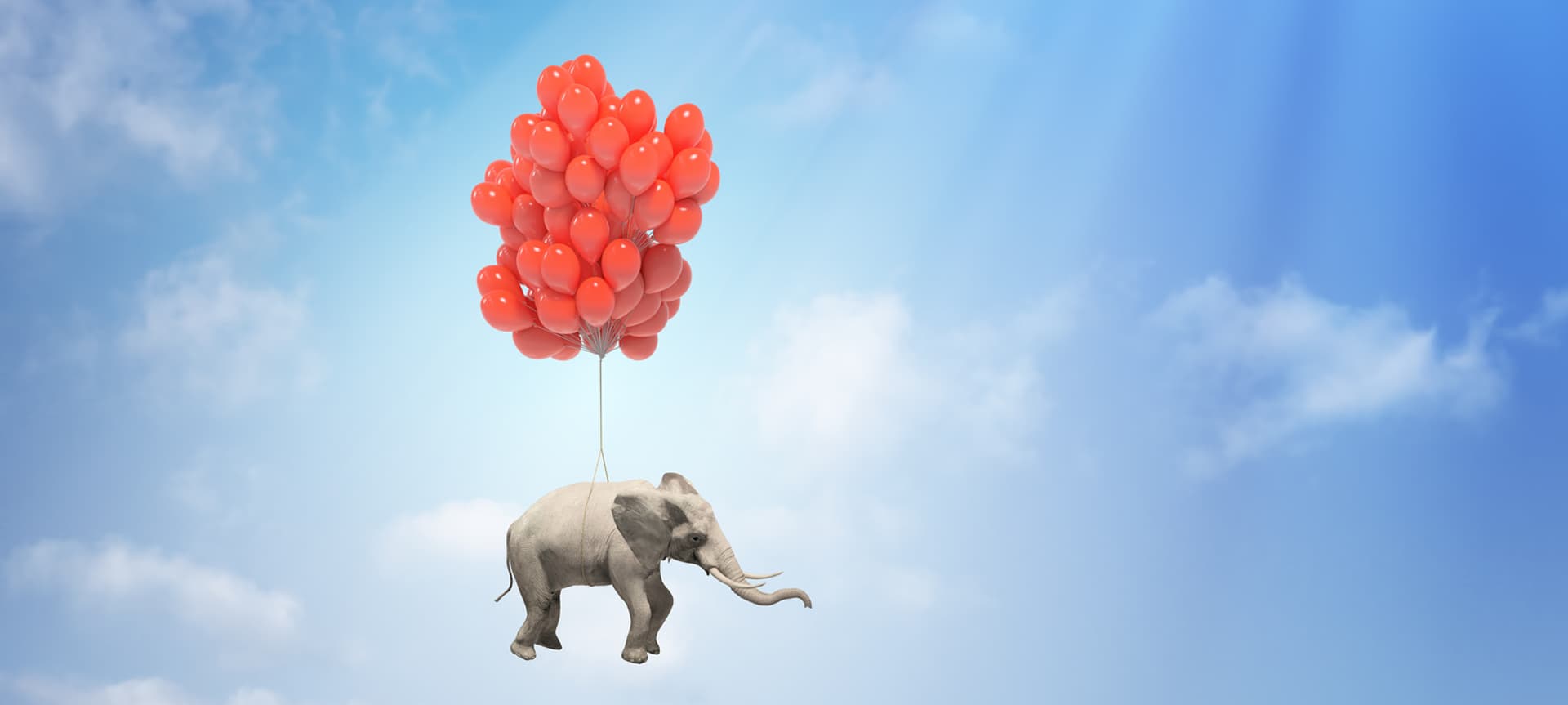 image éléphant et balon